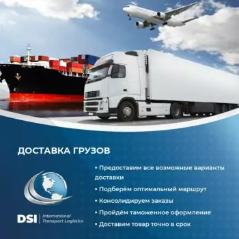 DSI — изображение 2