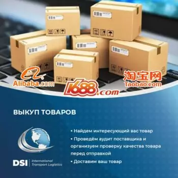 DSI — изображение 3