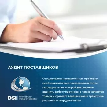 DSI — изображение 4