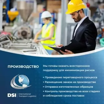 DSI — изображение 5