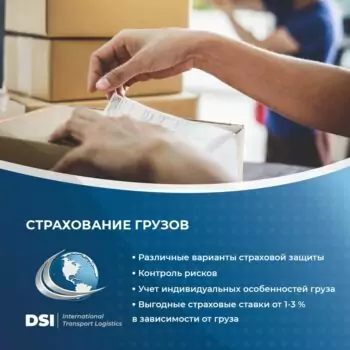 DSI — изображение 6