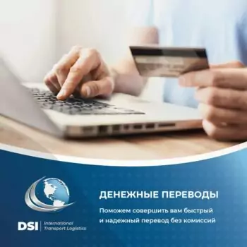 DSI — изображение 9