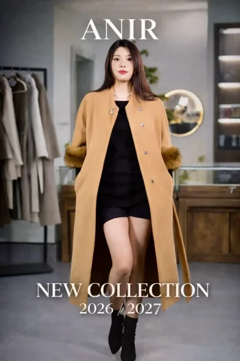 ANIR — изображение 3