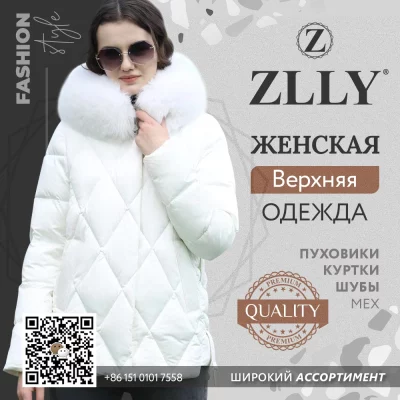 01_ZLLY