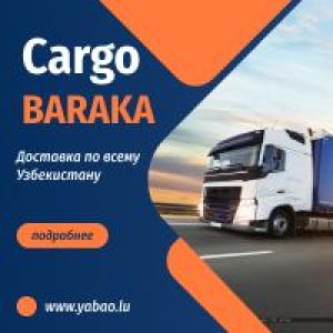 BANNER CARGO (2) baraka