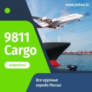BANNER CARGO (6) 9811