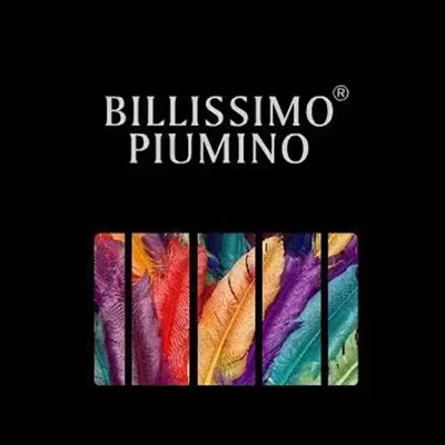 BILLISSIMO_PIUMINO