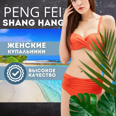 PENG_FEI_SHANG_HANG