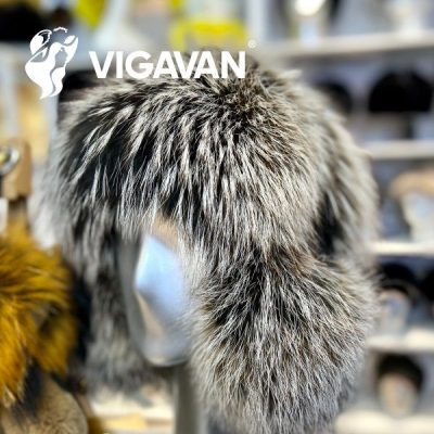 VIGAVAN_002